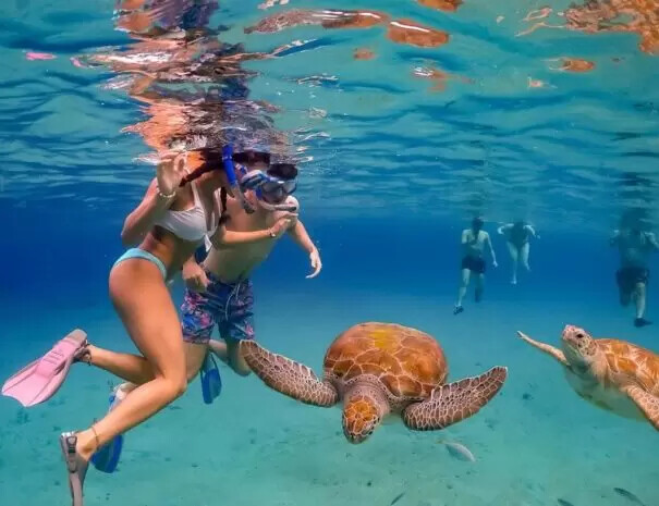 Oahu Ultimate Circle Island Tour