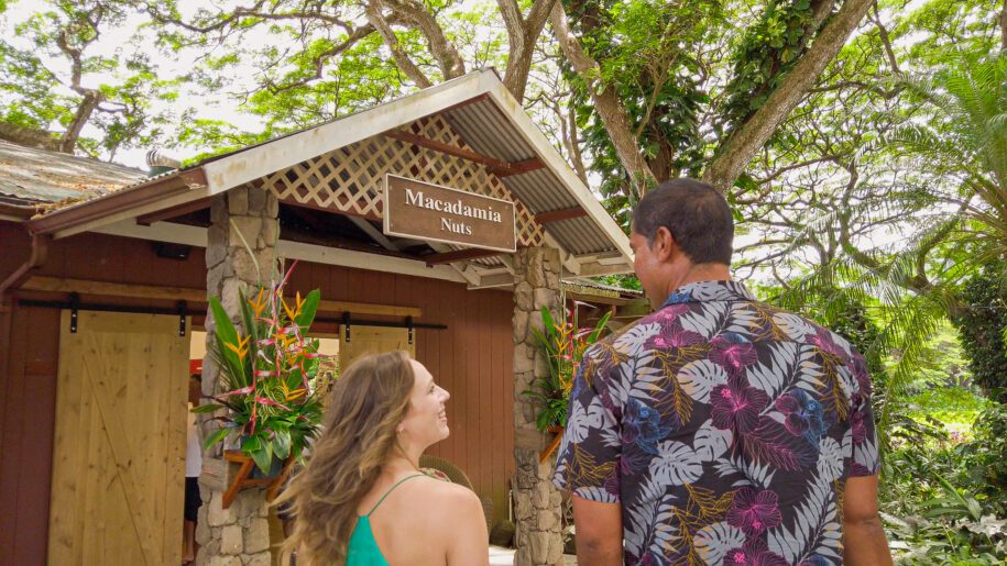 Ultimate Pearl Harbor & Circle Island 2
