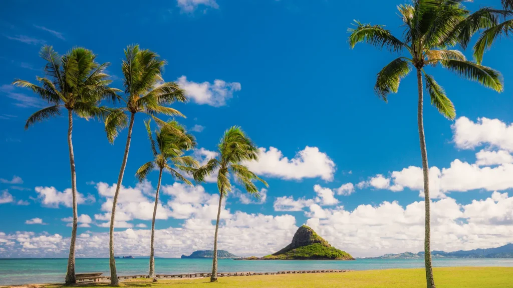 Ultimate Pearl Harbor & Circle Island 6